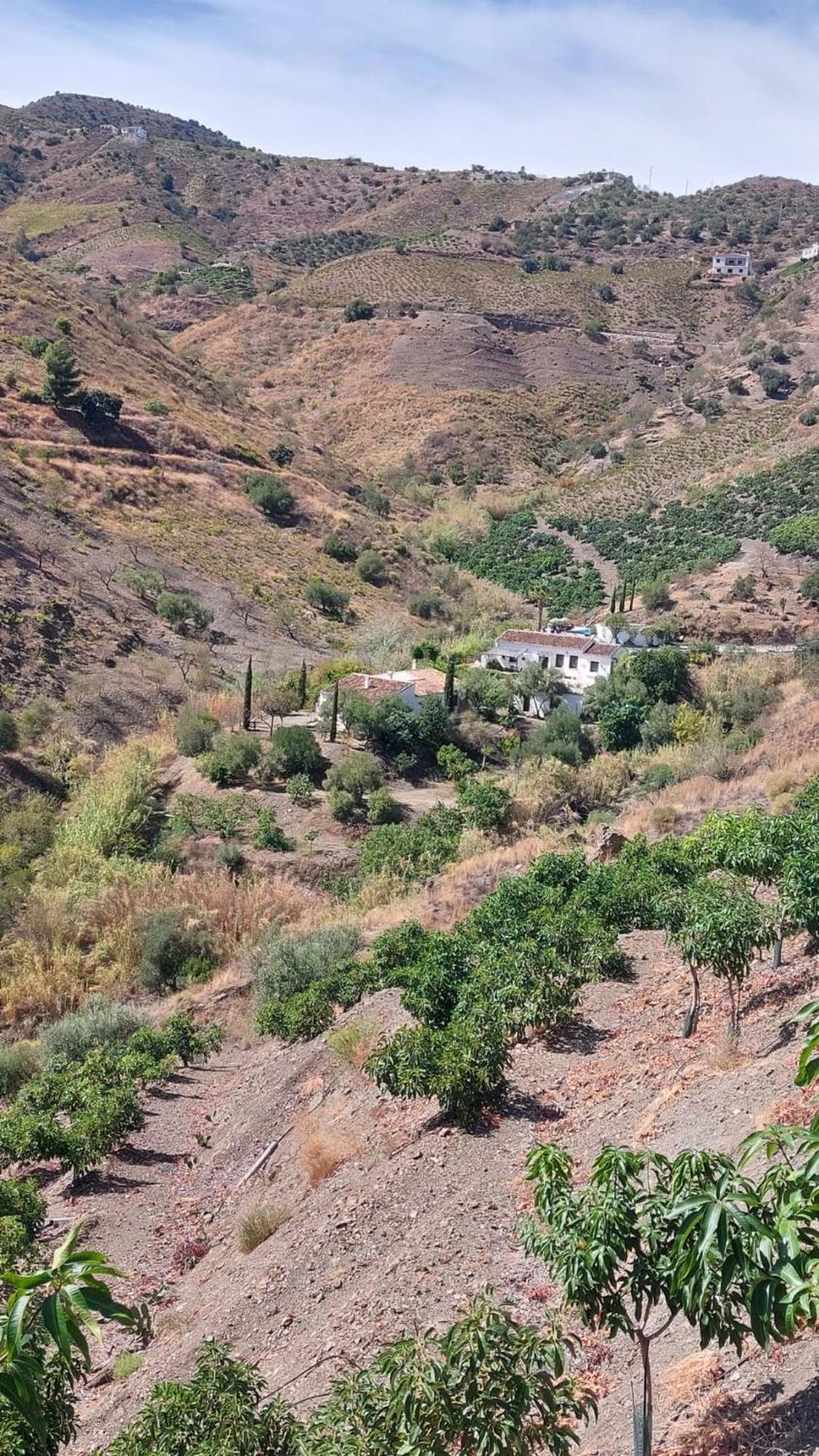 Penzion Cortijo Lagar De Luisa Borge Exteriér fotografie