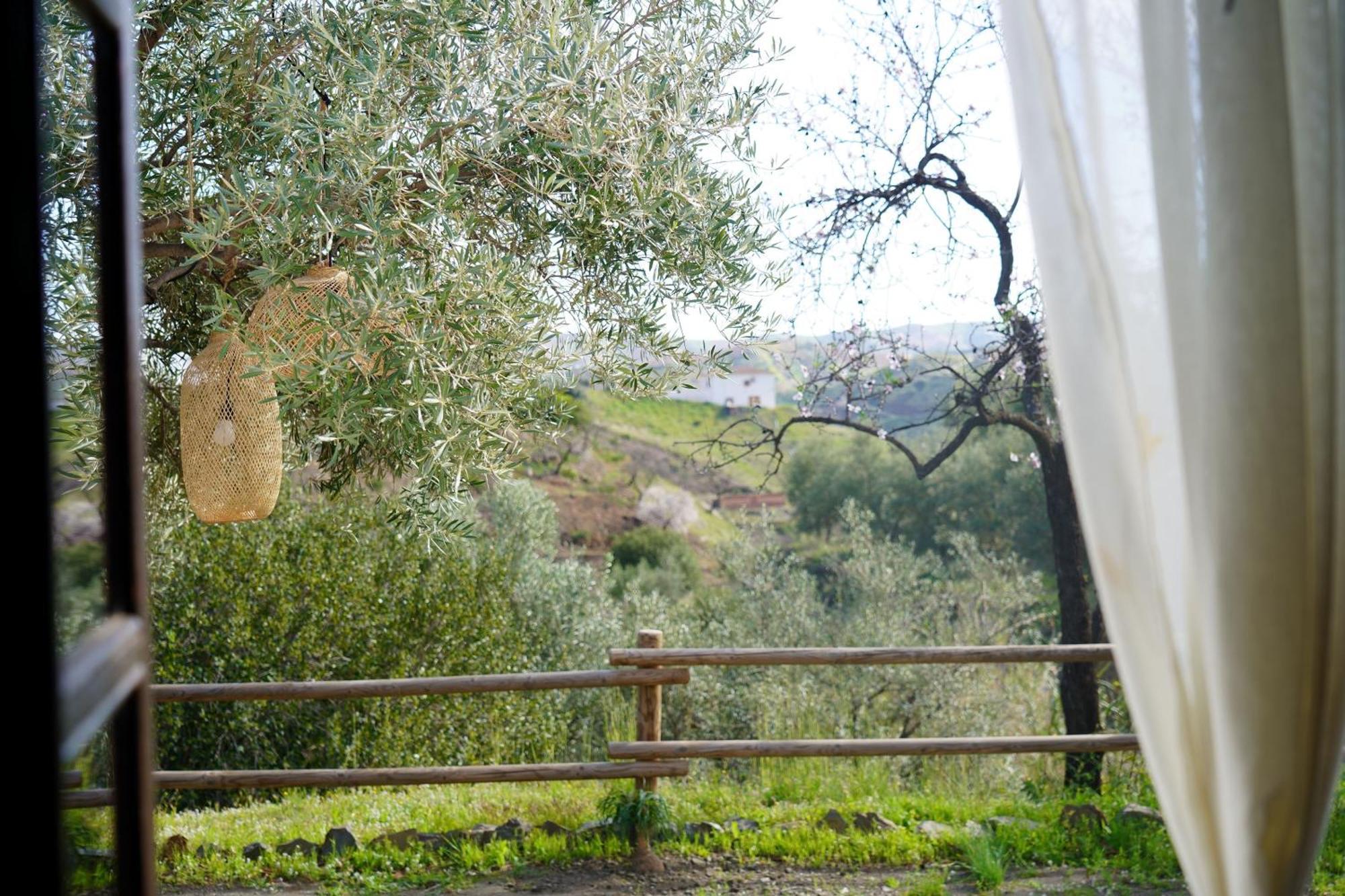 Penzion Cortijo Lagar De Luisa Borge Exteriér fotografie