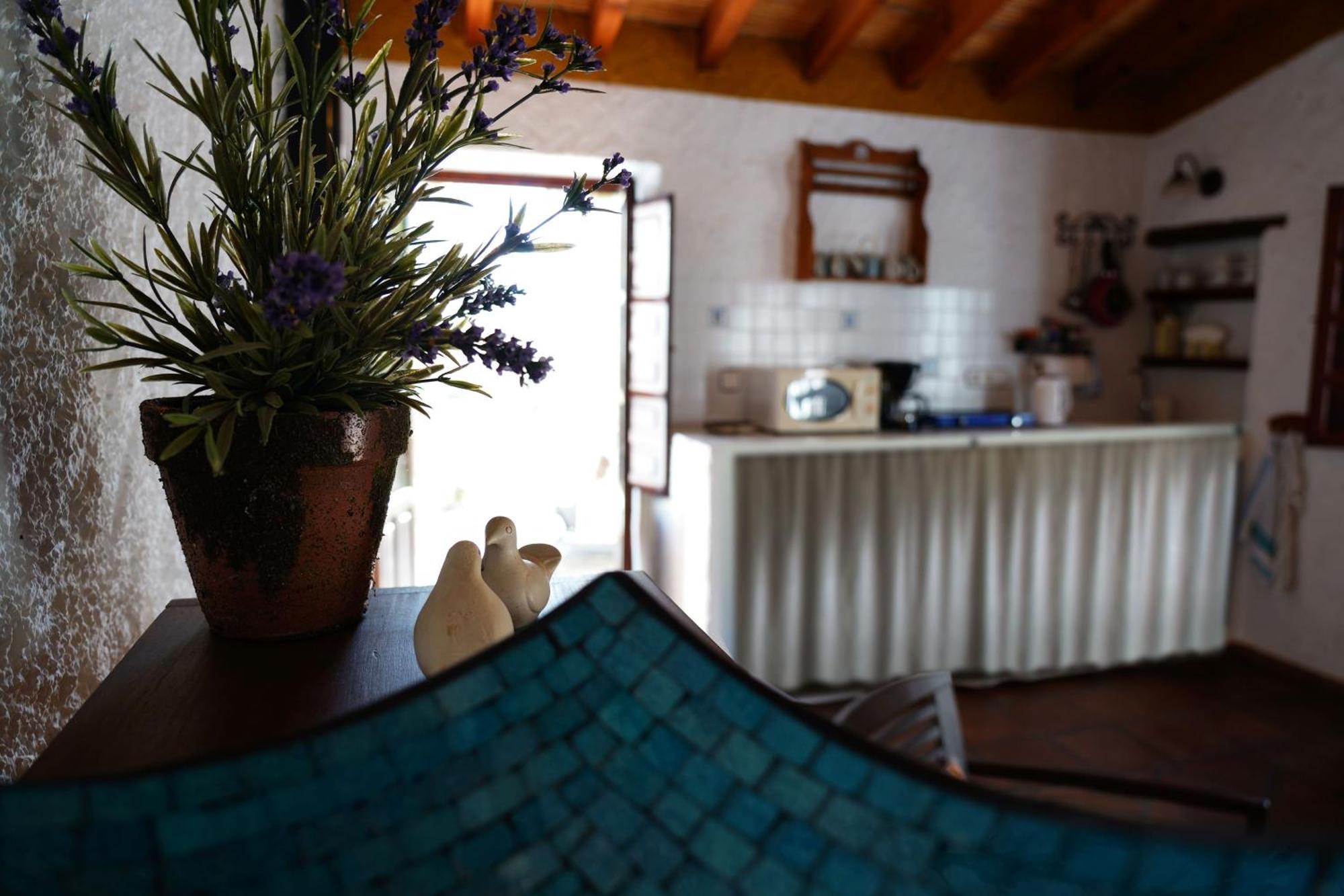 Penzion Cortijo Lagar De Luisa Borge Exteriér fotografie