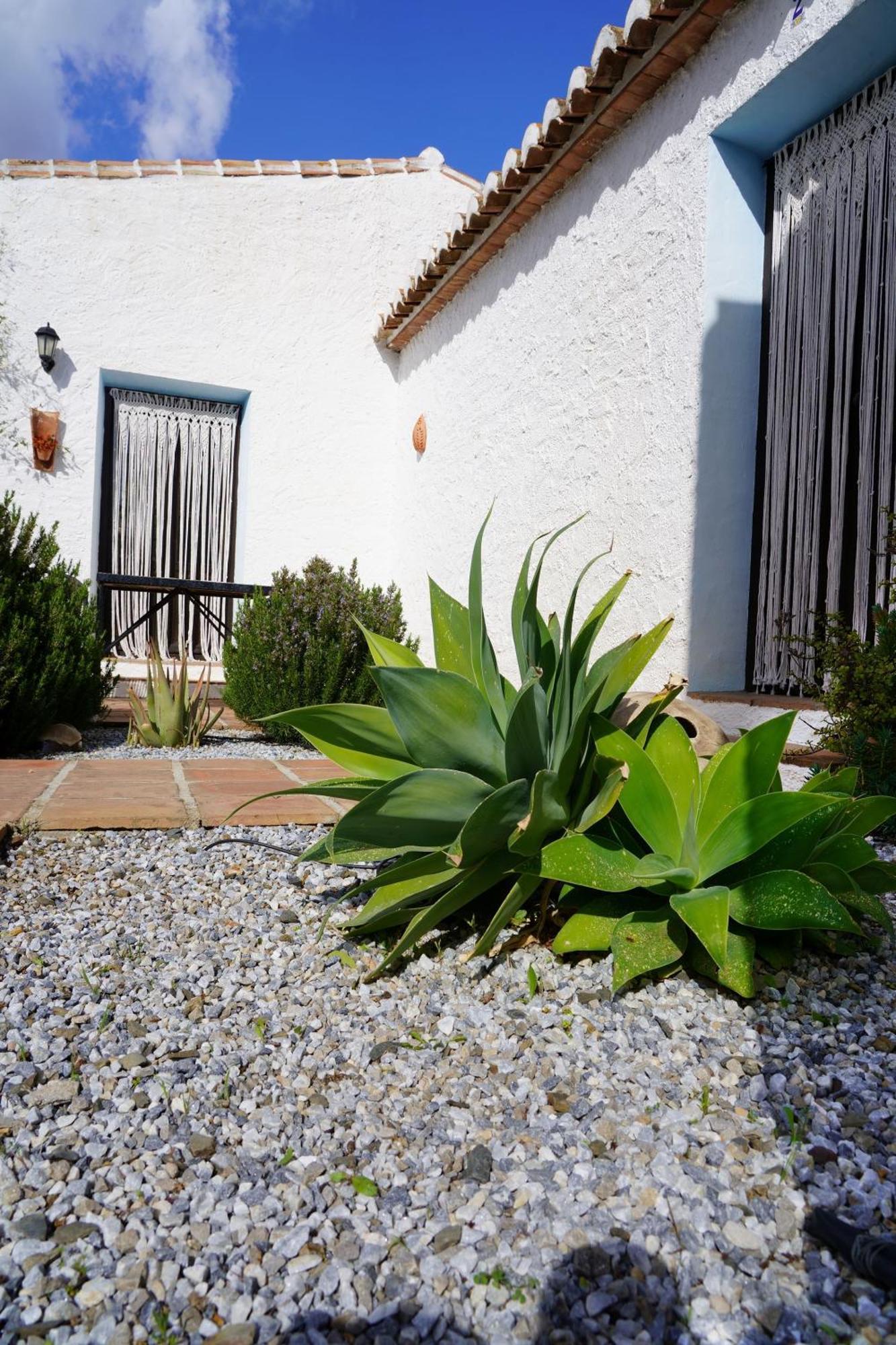 Penzion Cortijo Lagar De Luisa Borge Exteriér fotografie