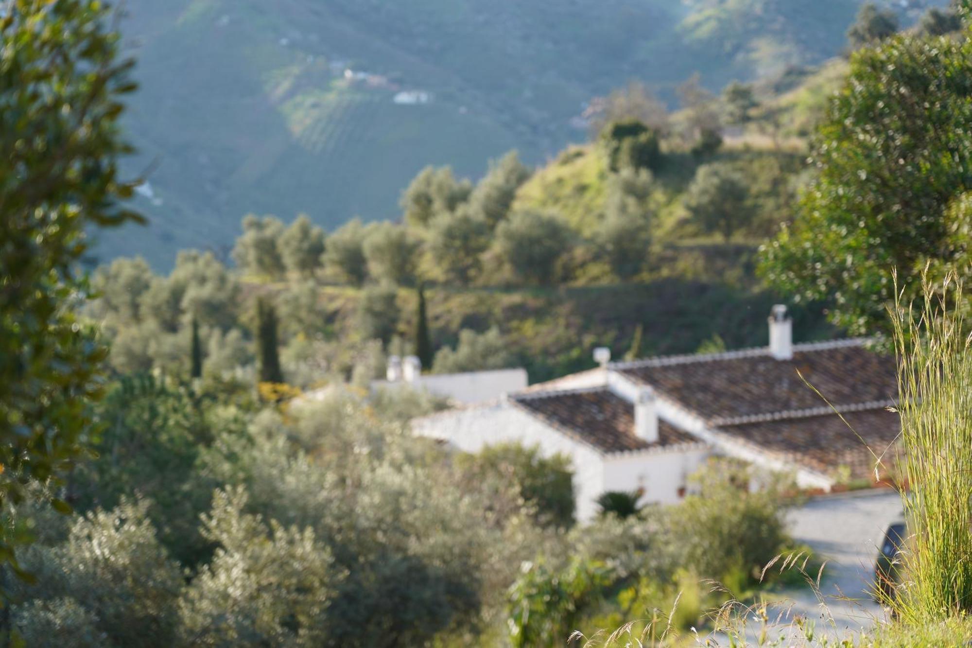 Penzion Cortijo Lagar De Luisa Borge Exteriér fotografie