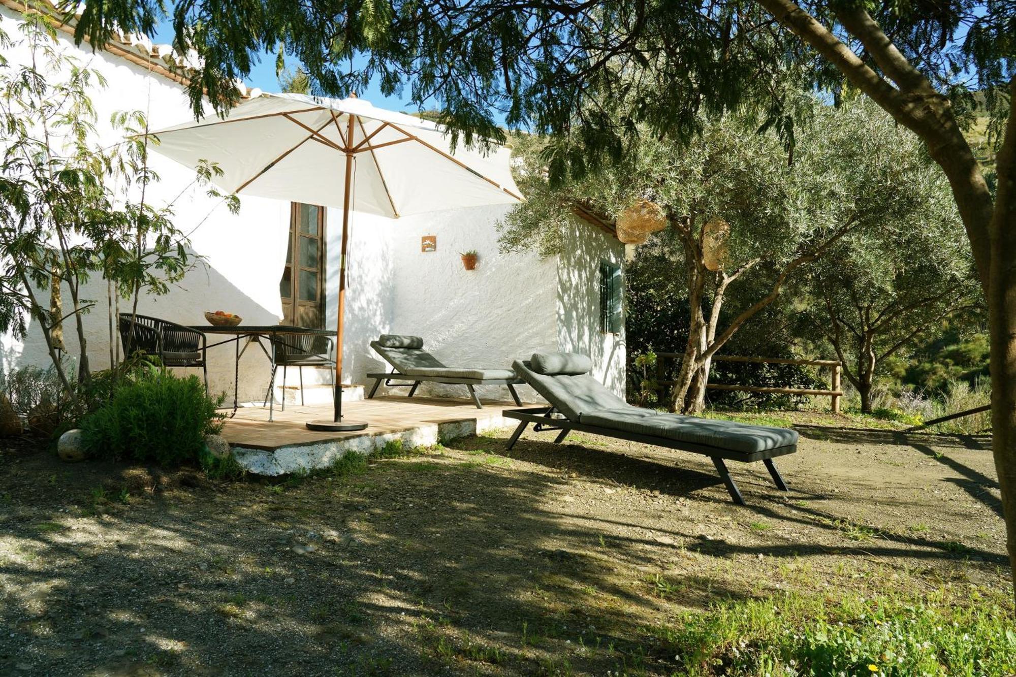 Penzion Cortijo Lagar De Luisa Borge Exteriér fotografie
