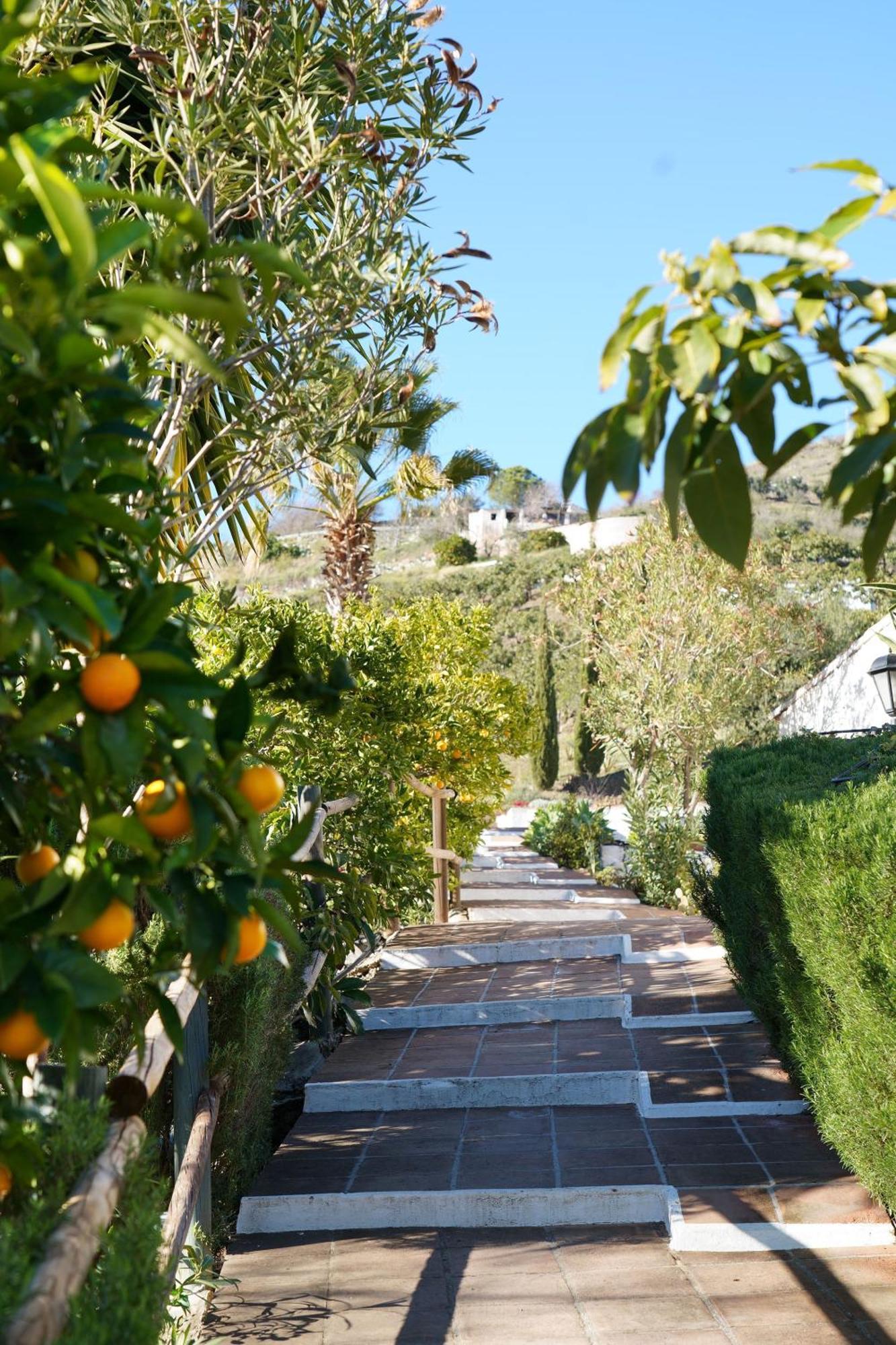 Penzion Cortijo Lagar De Luisa Borge Exteriér fotografie