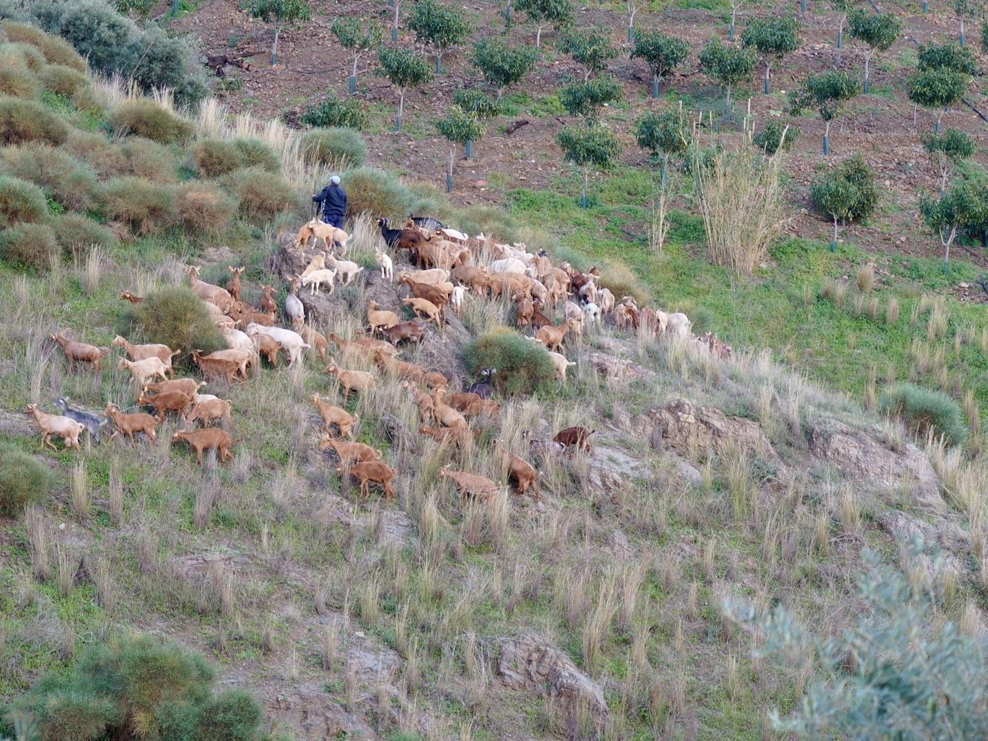 Penzion Cortijo Lagar De Luisa Borge Exteriér fotografie