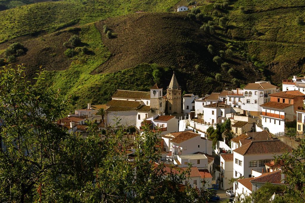 Penzion Cortijo Lagar De Luisa Borge Exteriér fotografie