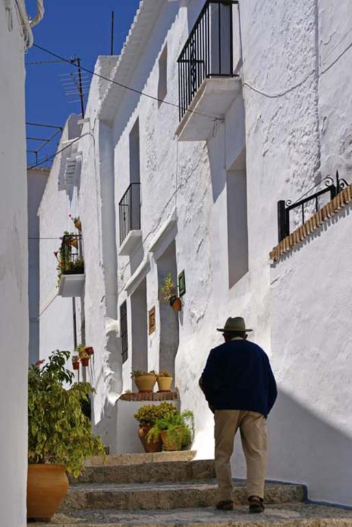 Penzion Cortijo Lagar De Luisa Borge Exteriér fotografie